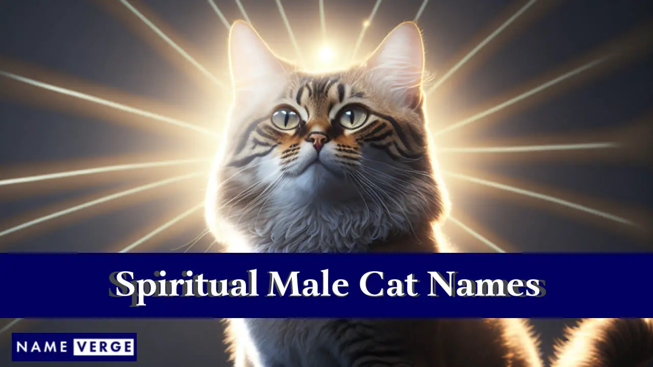 Spirituelle männliche Katzennamen