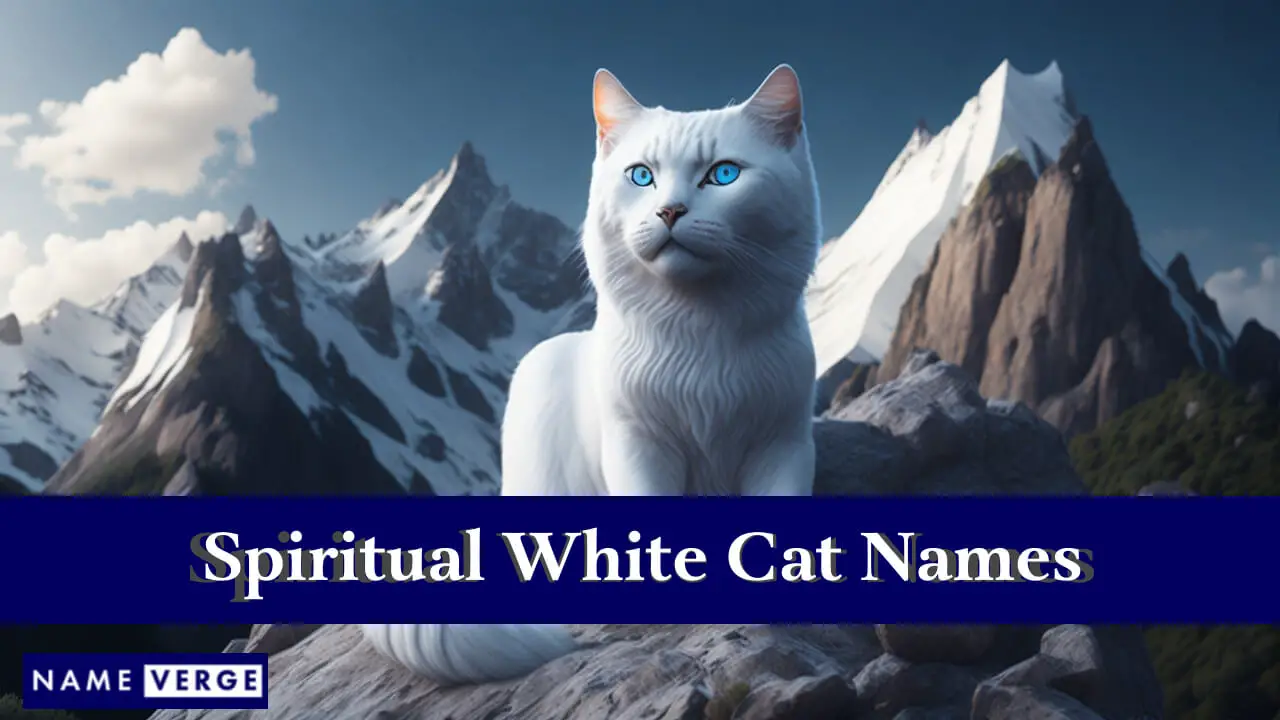 Spirituelle weiße Katzennamen