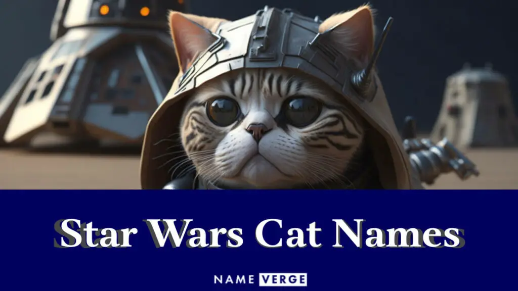 star wars cat names