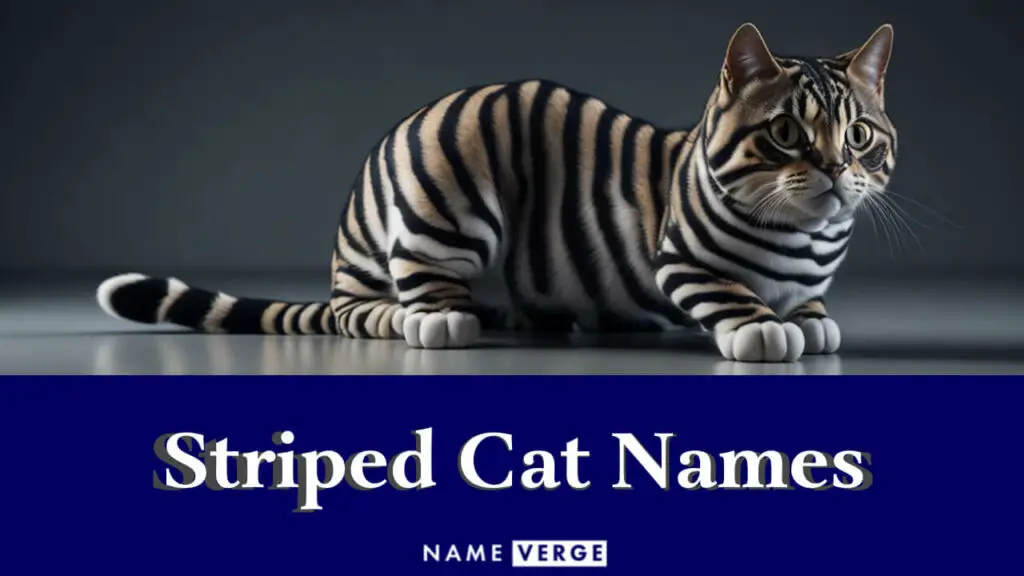 striped cat names