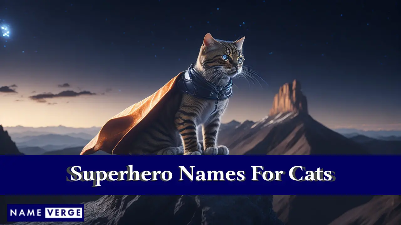 Superheldennamen für Katzen
