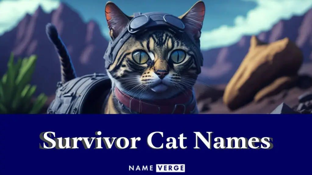survivor cat names