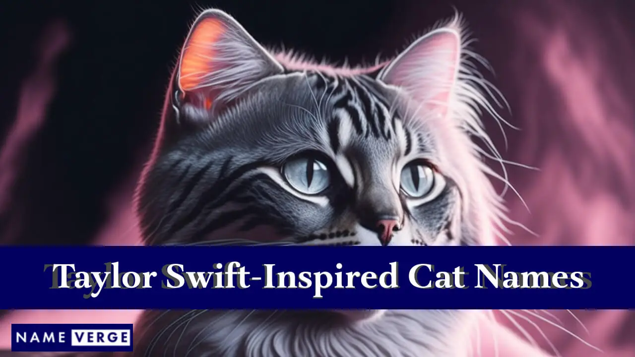 Von Taylor Swift inspirierte Katzennamen