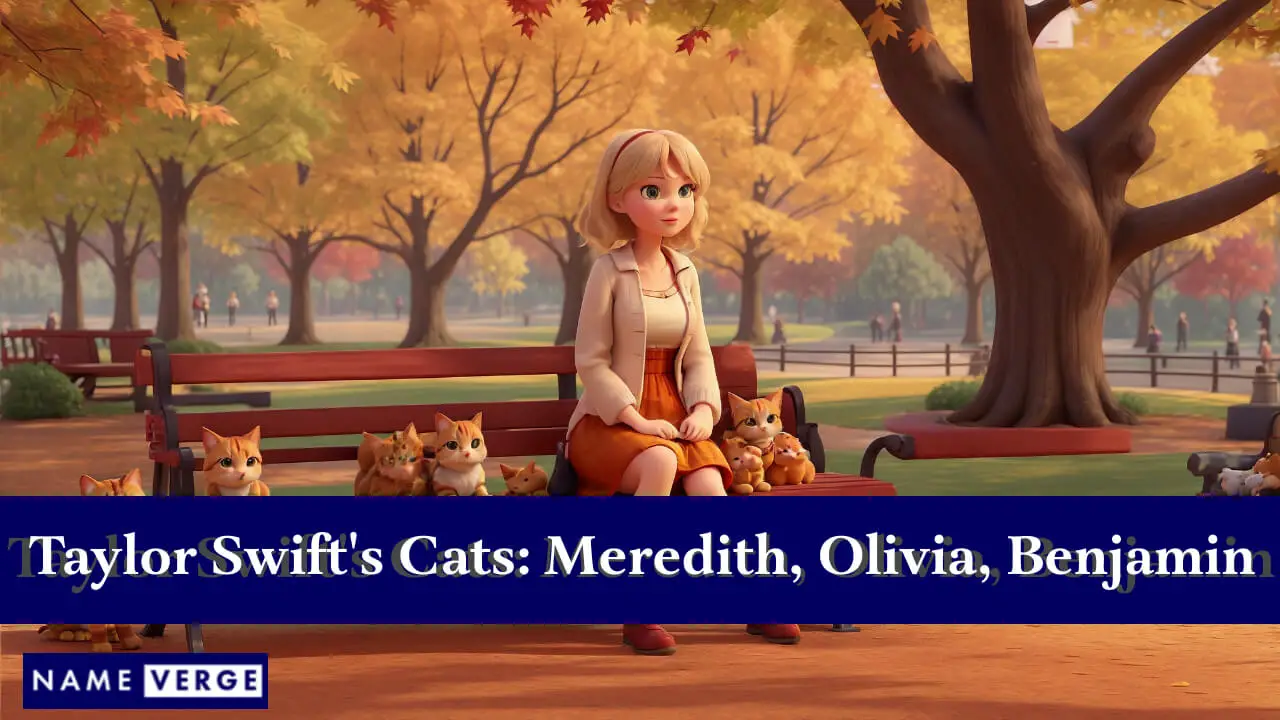 Taylor Swifts Katzen: Meredith Grey, Olivia Benson und Benjamin Button