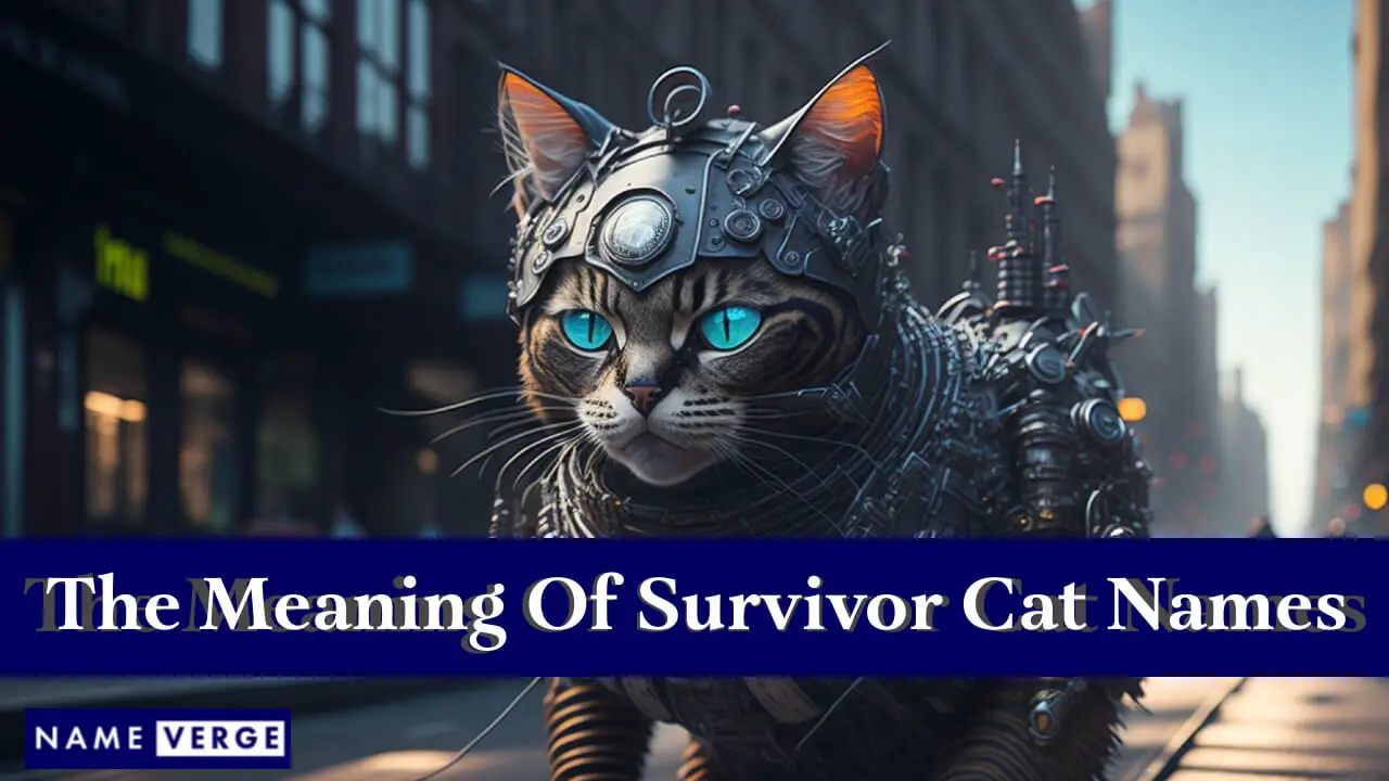 Die Bedeutung der Namen von Survivor-Katzen