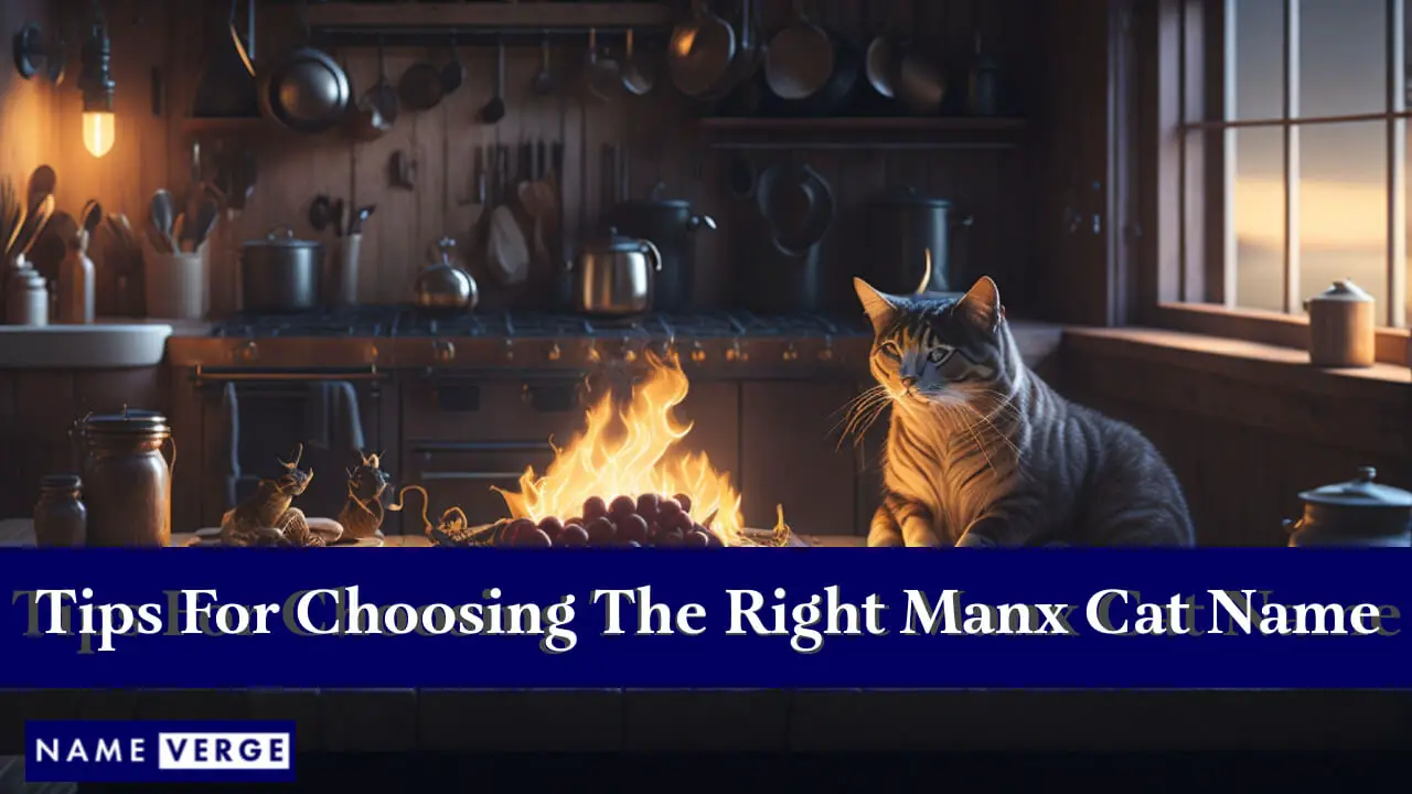 Tipps zur Auswahl des richtigen Manx-Katzennamens