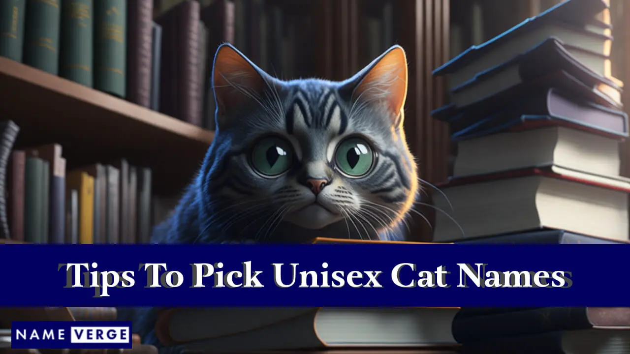 Tipps zur Auswahl von Unisex-Katzennamen