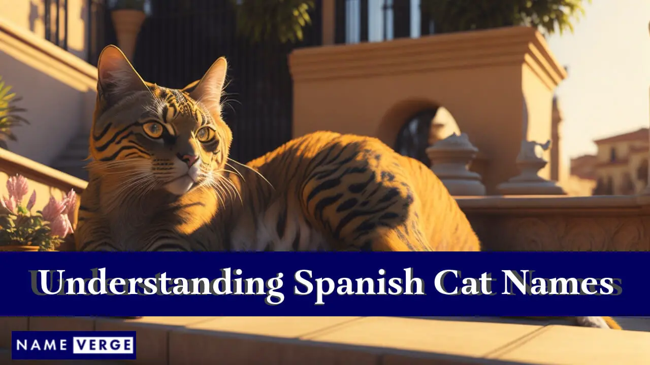 Spanische Katzennamen verstehen