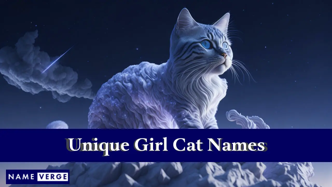 Einzigartige Katzennamen für Mädchen