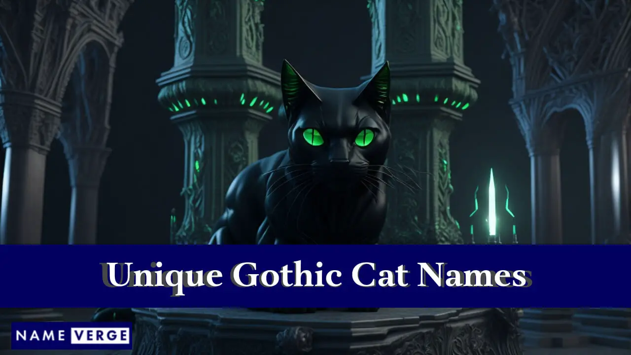 Einzigartige gotische Katzennamen