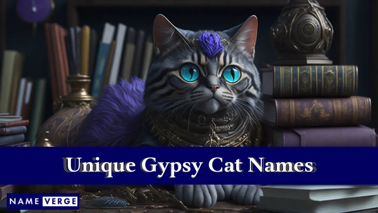 Einzigartige Zigeunerkatzennamen