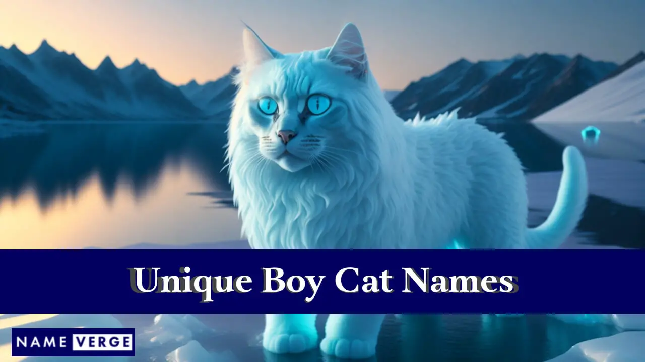 Einzigartige Namen für Jungenkatzen