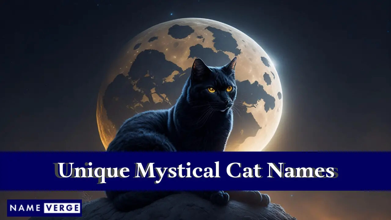 Einzigartige mystische Katzennamen