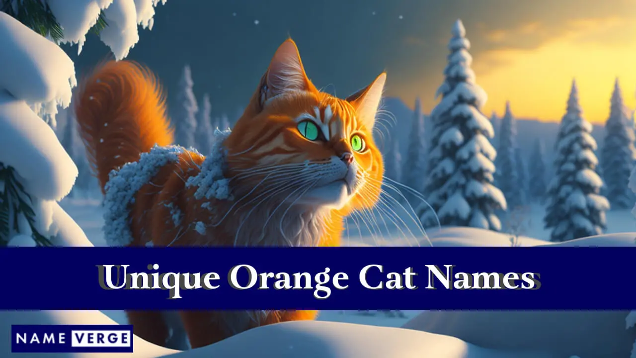 Einzigartige orangefarbene Katzennamen