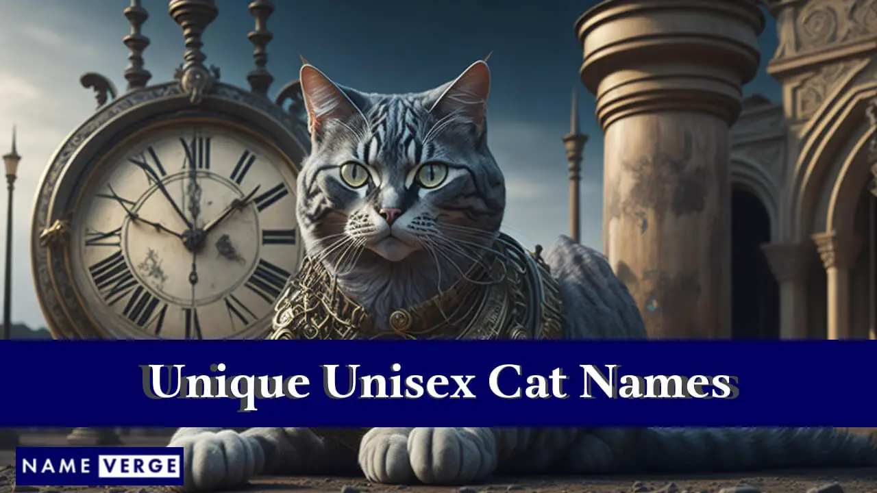 Einzigartige Unisex-Katzennamen