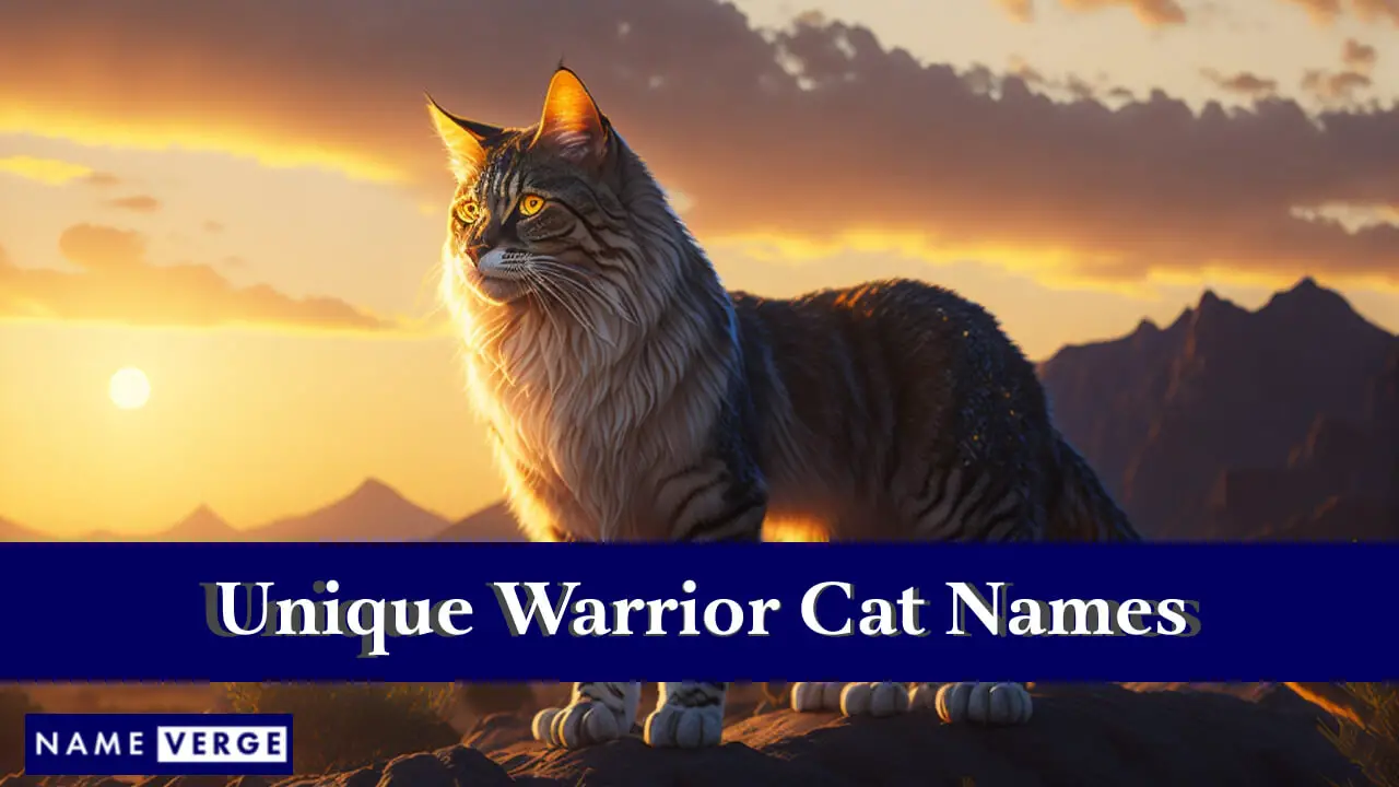 Einzigartige Kriegerkatzennamen