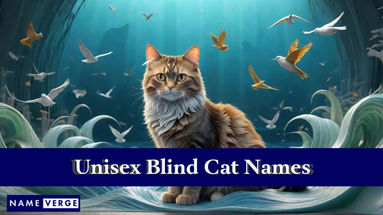 Unisex-Namen für blinde Katzen