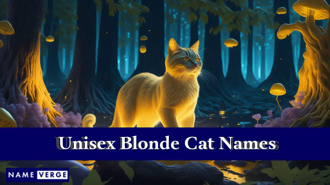 Unisex-Namen für blonde Katzen