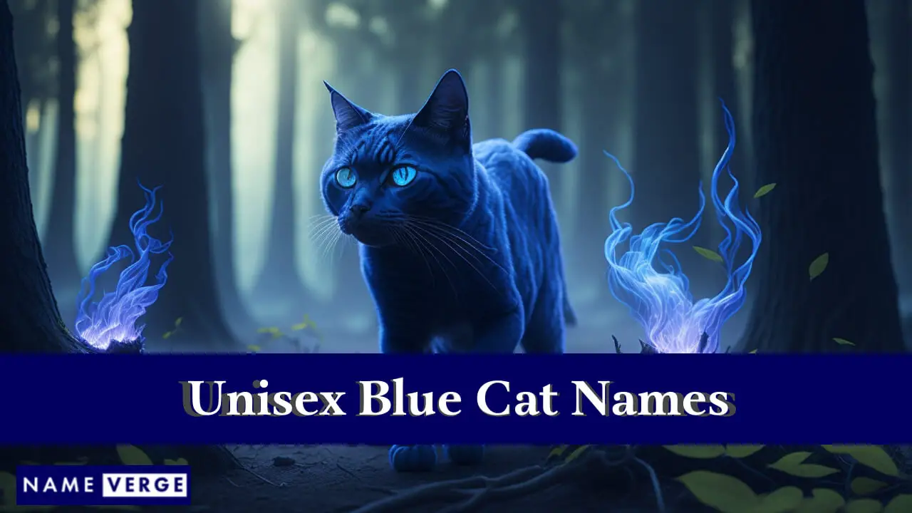Unisex-blaue Katzennamen