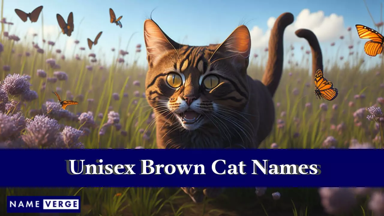 Unisex-Namen für braune Katzen