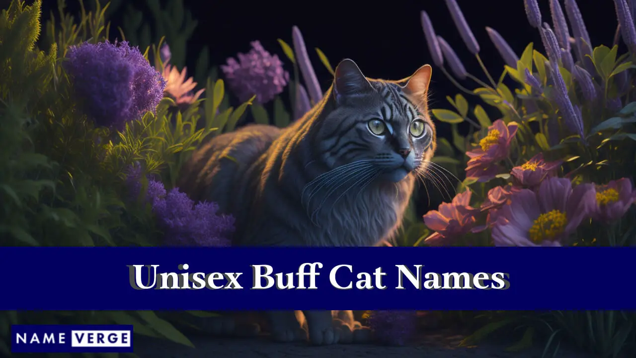 Unisex-Buff-Katzennamen