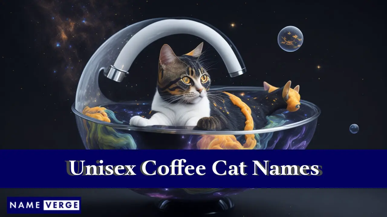 Unisex-Kaffeekatzennamen