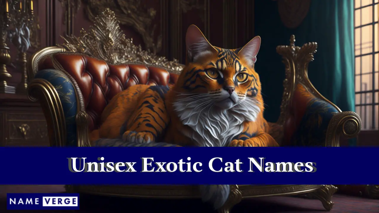 Exotische Unisex-Katzennamen