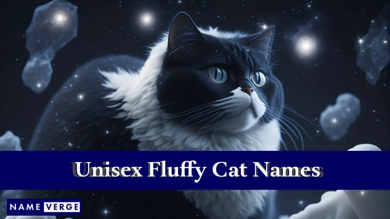 Unisex-Flauschkatzennamen