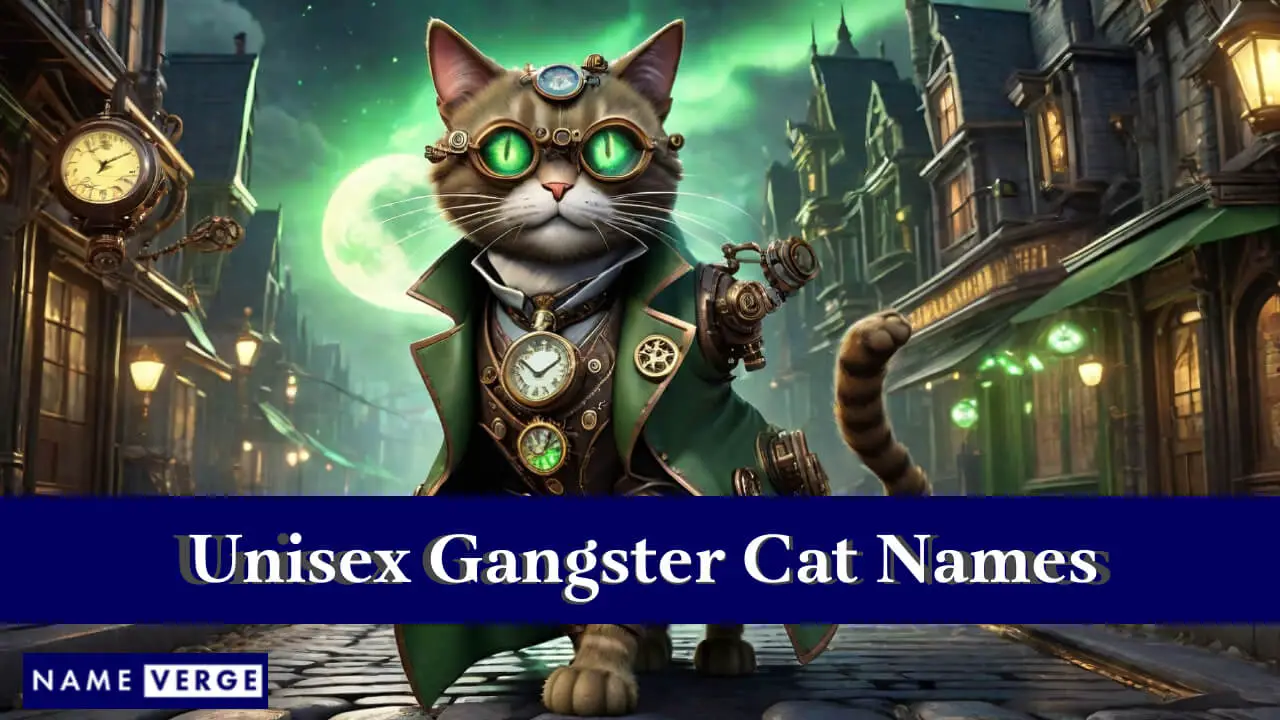 Unisex-Gangster-Katzennamen
