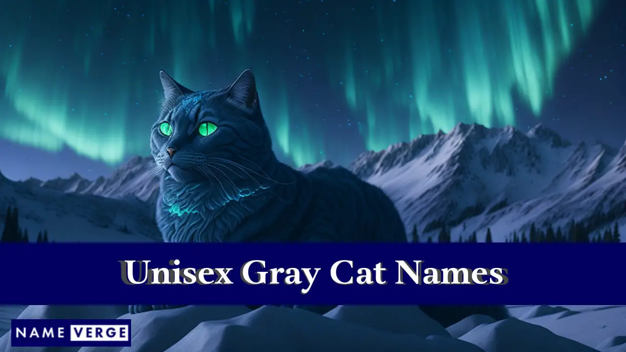Unisex-Graue Katzennamen