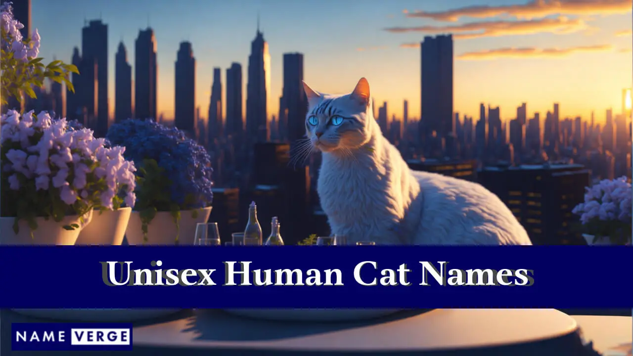 Unisex-Menschenkatzennamen