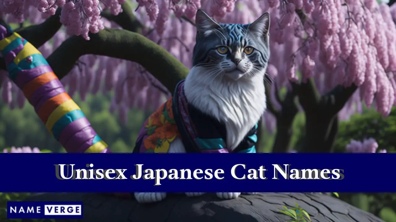 Japanische Unisex-Katzennamen