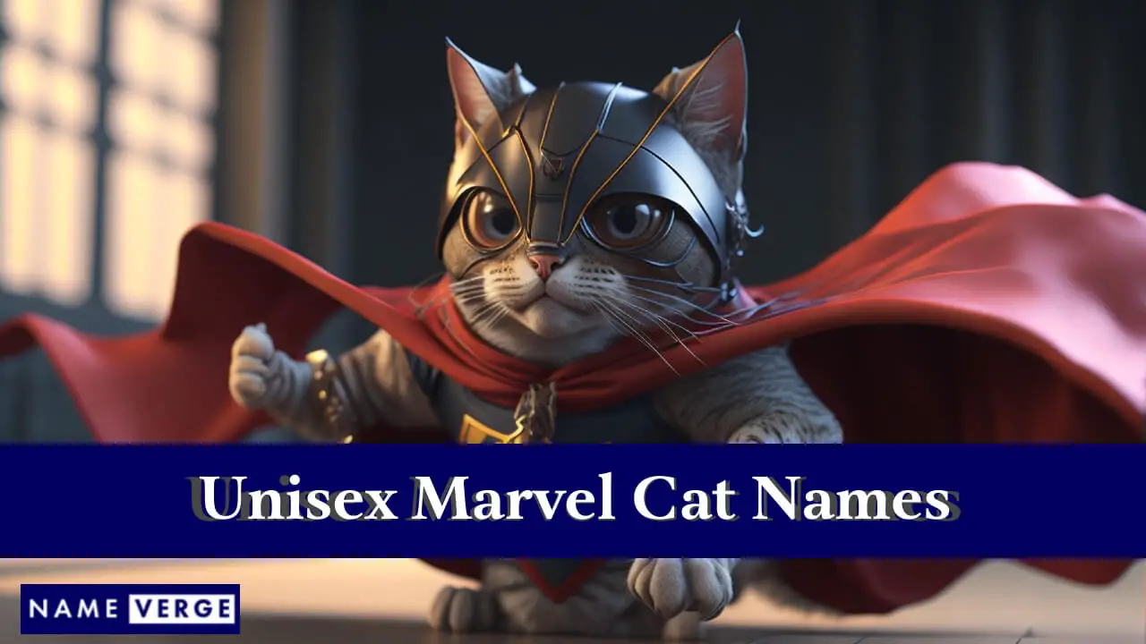 Unisex-Marvel-Katzennamen