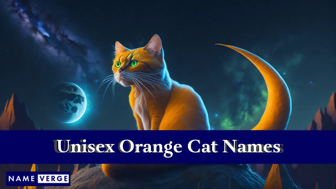 Orangefarbene Unisex-Katzennamen