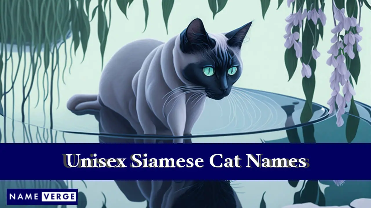 Unisex-Siamkatzennamen