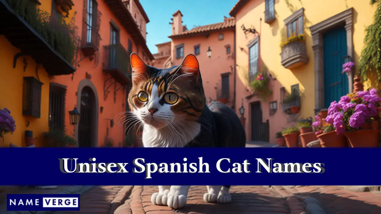 Spanische Unisex-Katzennamen