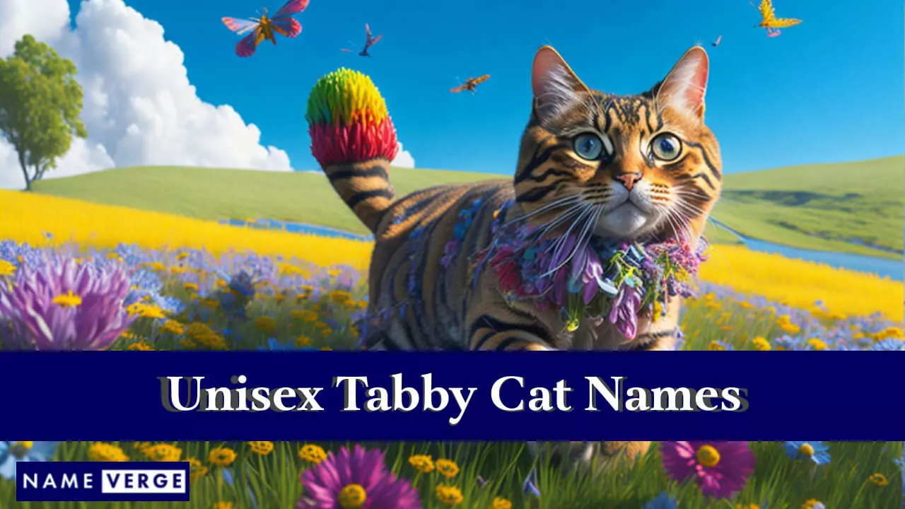 Unisex-Tabby-Katzennamen