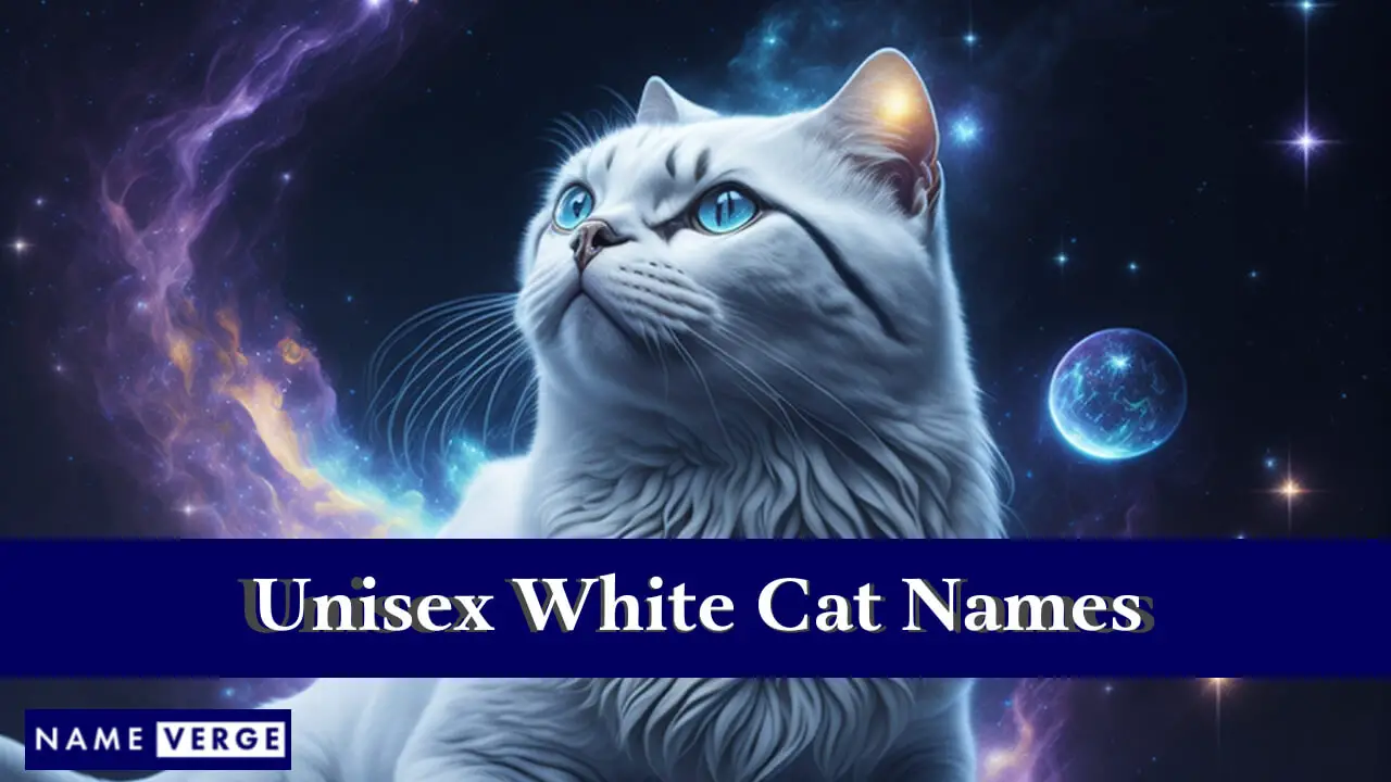 Weiße Unisex-Katzennamen