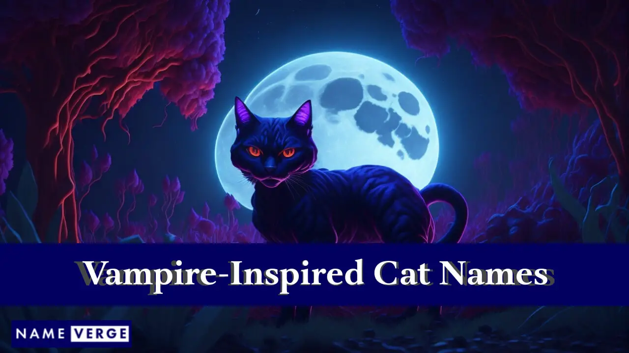 Von Vampiren inspirierte Katzennamen