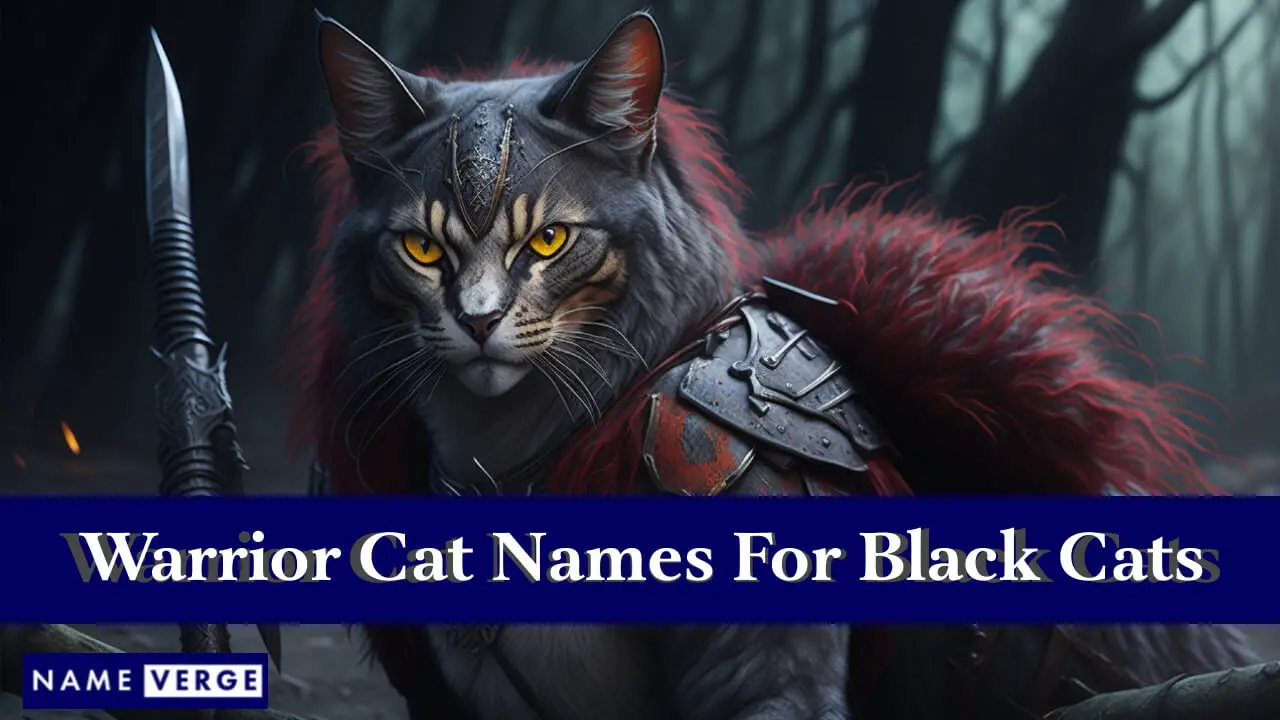 Warrior Cat nennt schwarze Katzen