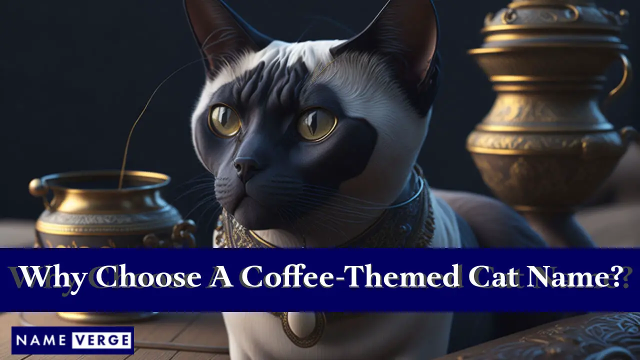 Warum einen Katzennamen mit Kaffeemotiv wählen?