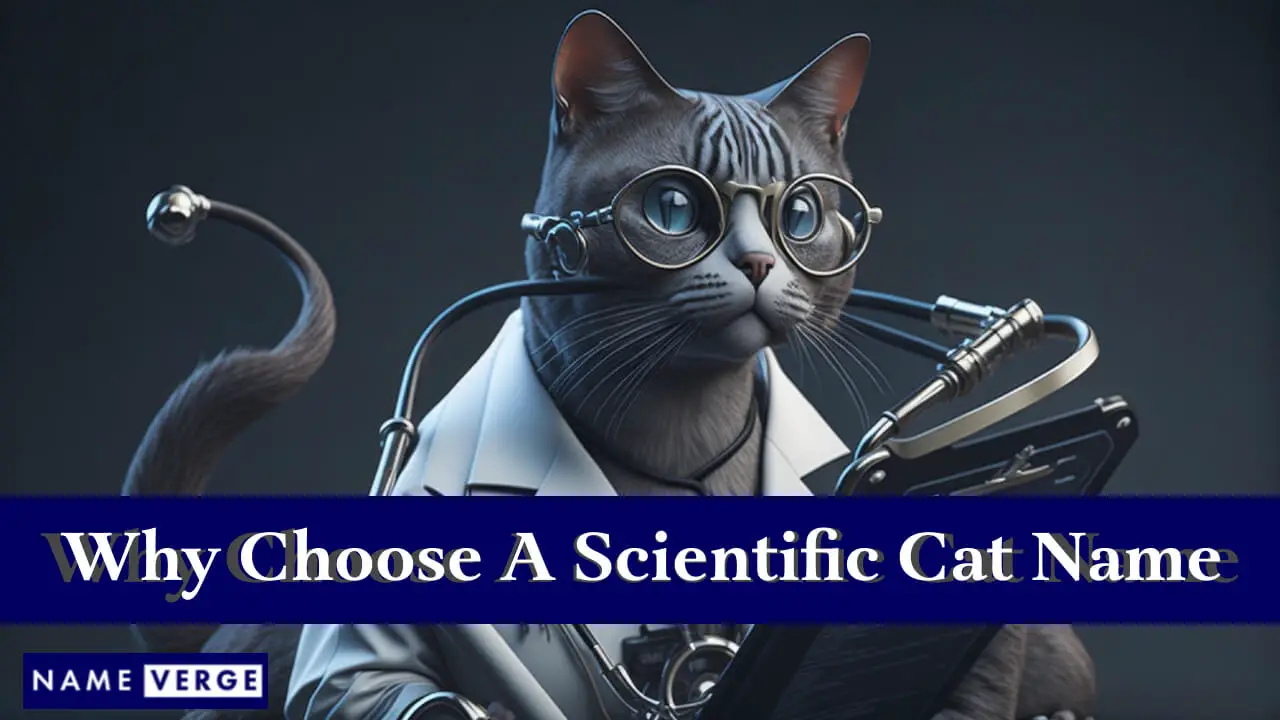 Warum einen wissenschaftlichen Katzennamen wählen?