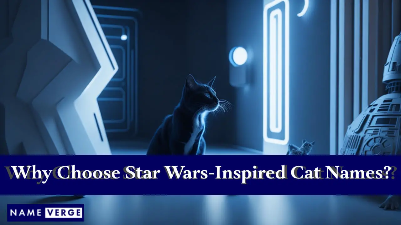 Warum von Star Wars inspirierte Katzennamen wählen?