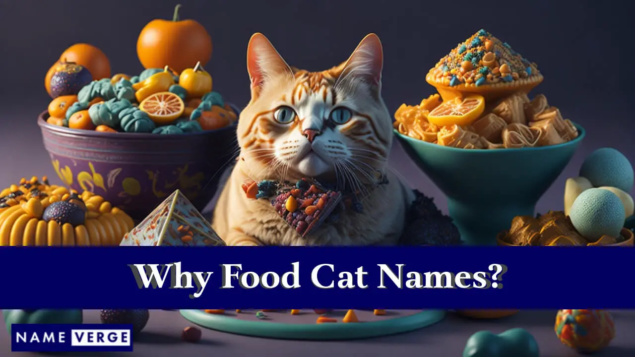 Warum Futterkatzennamen?