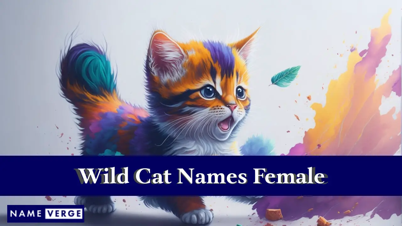 Wildkatzennamen weiblich
