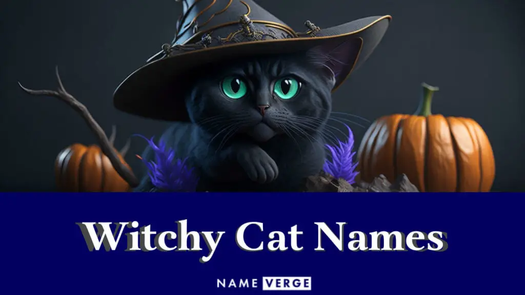 witchy cat names