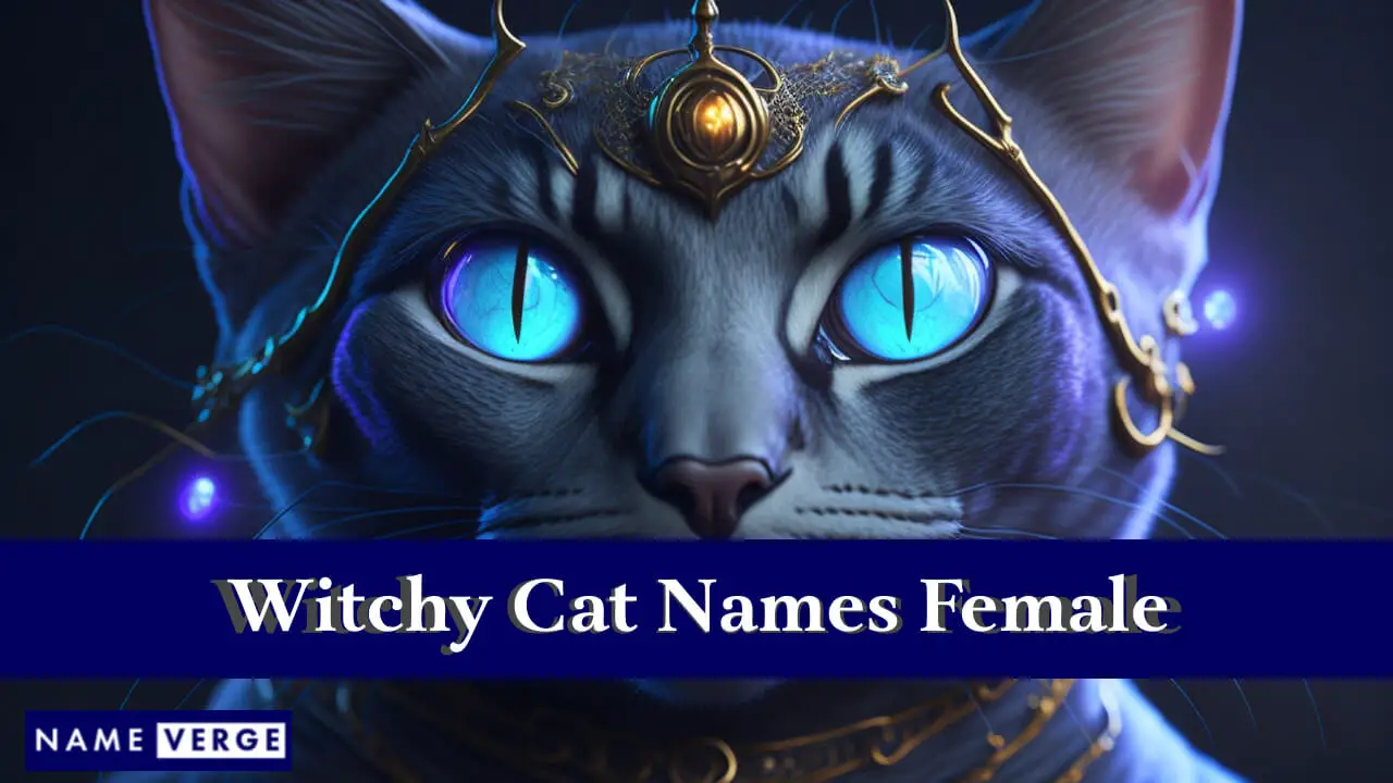 Hexenkatzennamen für Frauen