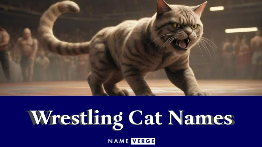 wrestling cat names