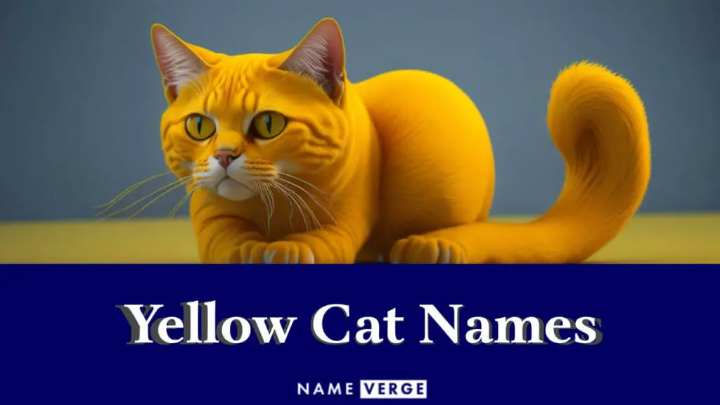 yellow cat names