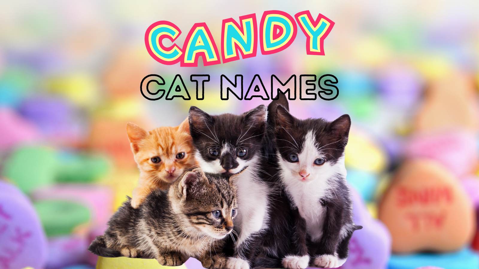 featured candy names for cats